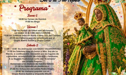 CARTEL FIESTAS DE LA DAMA