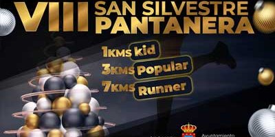 banner-viii-san-silvestre.jpg