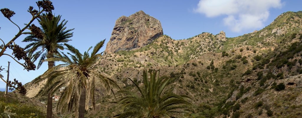 roque-3